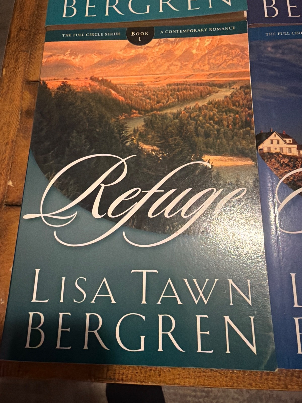 six books by Lisa Tawn Bergren