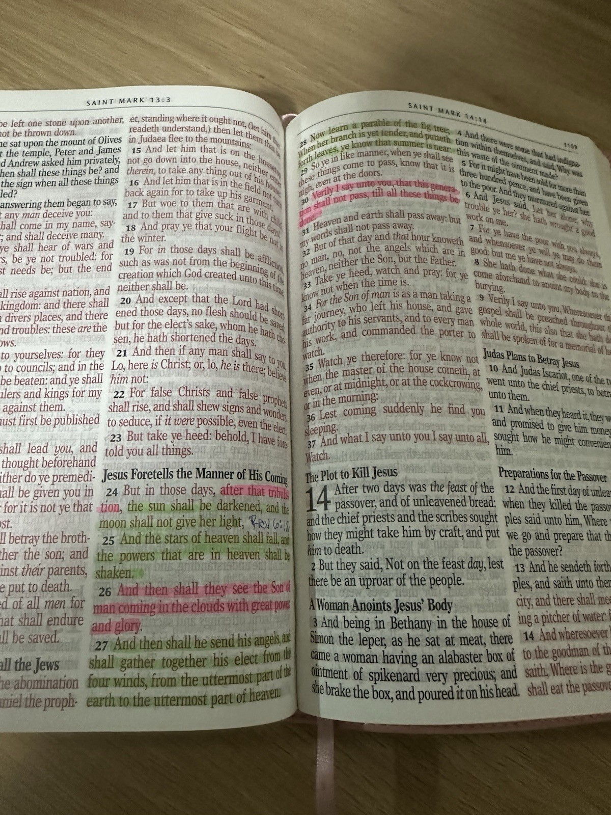Pink Imitation Leather King James Bible Giant Print Thumb Tabs