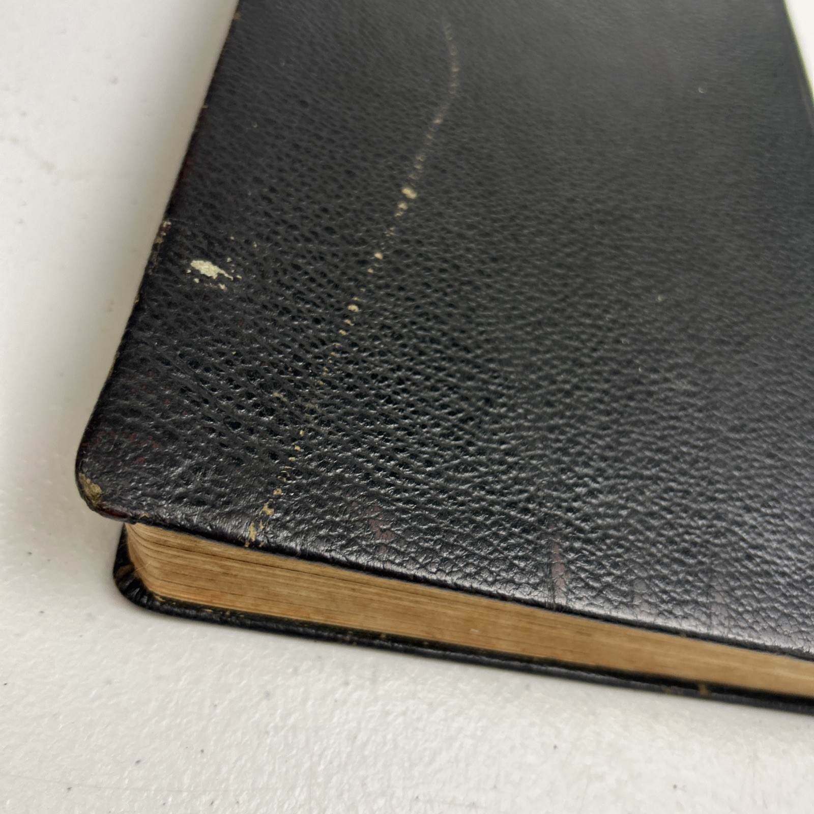 The New Testament Holy Land Edition 1952 Illustrated Catholic Press