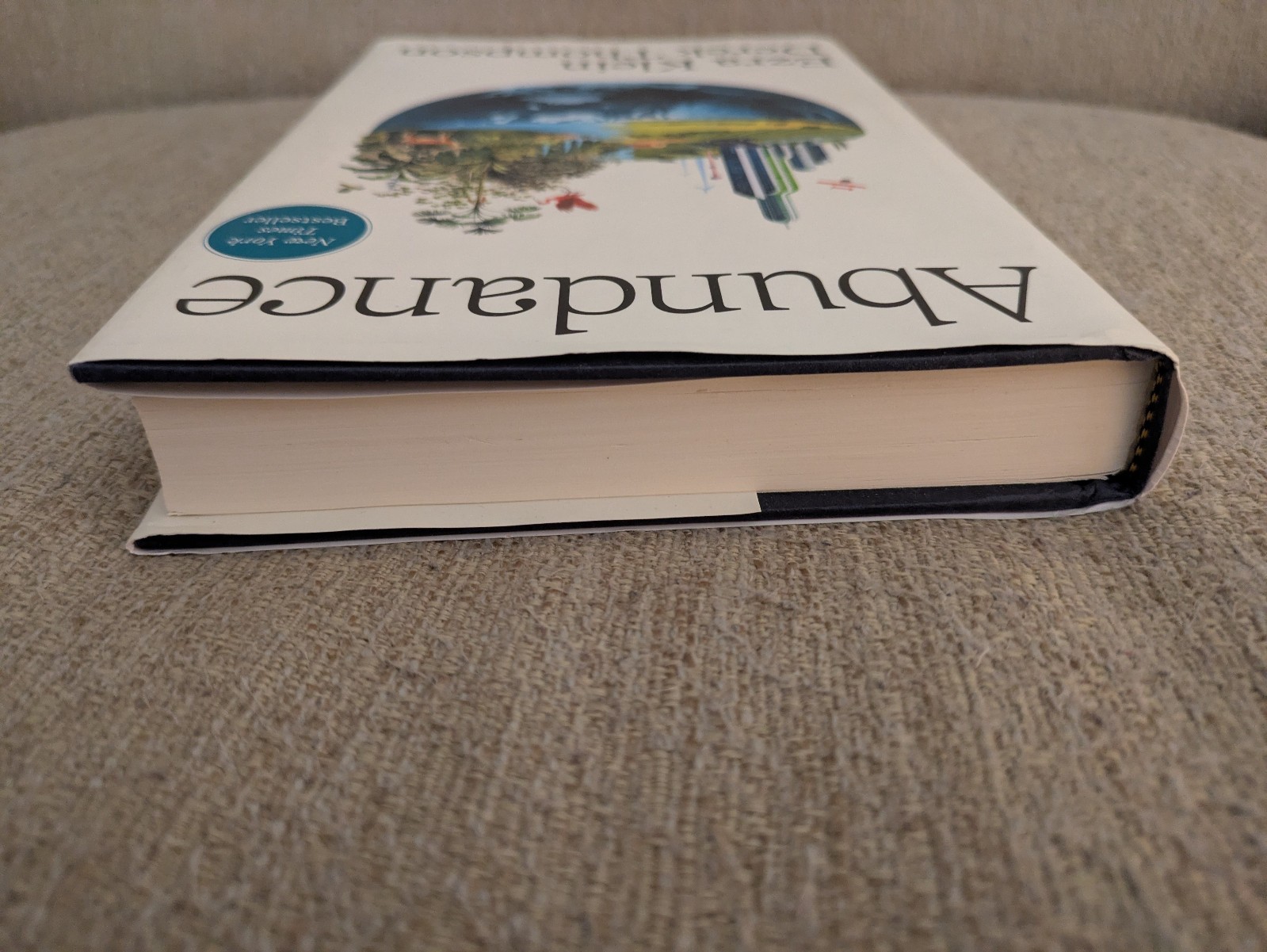 Abundance | Ezra Klein & Derek Thompson | 2025 Hardcover | LIBERALISM!