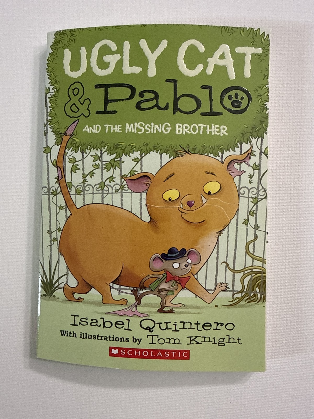 Scholastic Ugly Cat & Pablo and the Missing Brother by Isabel Quintero Book 2