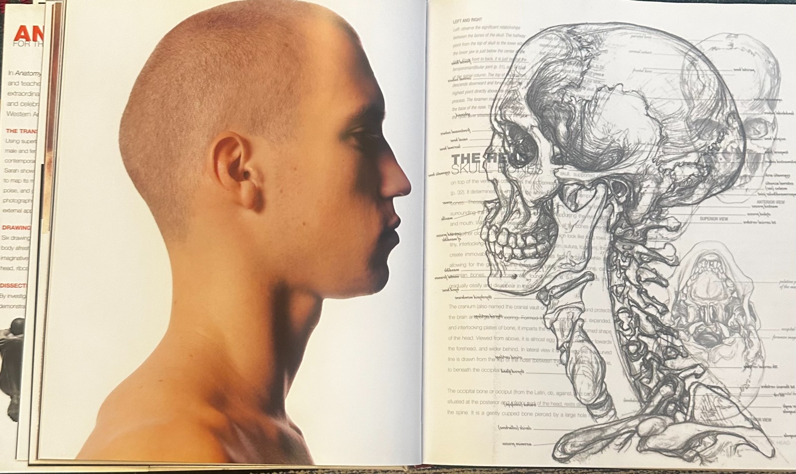 Anatomy for the Artist by Sarah Simblet &John Davis (2001, Hardcover)