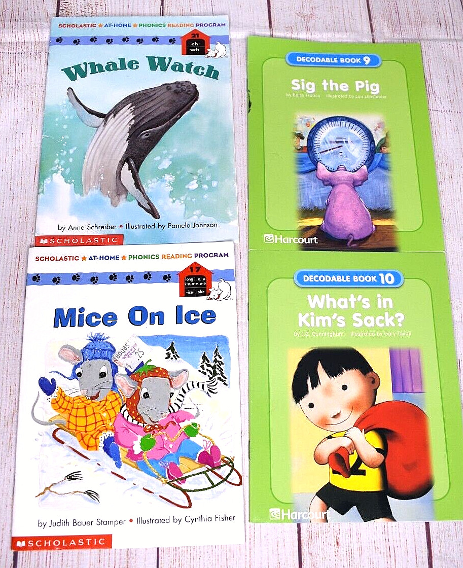 Lot of 13 Phonics Reading Discovery Readers Decodable Learn to Read Books