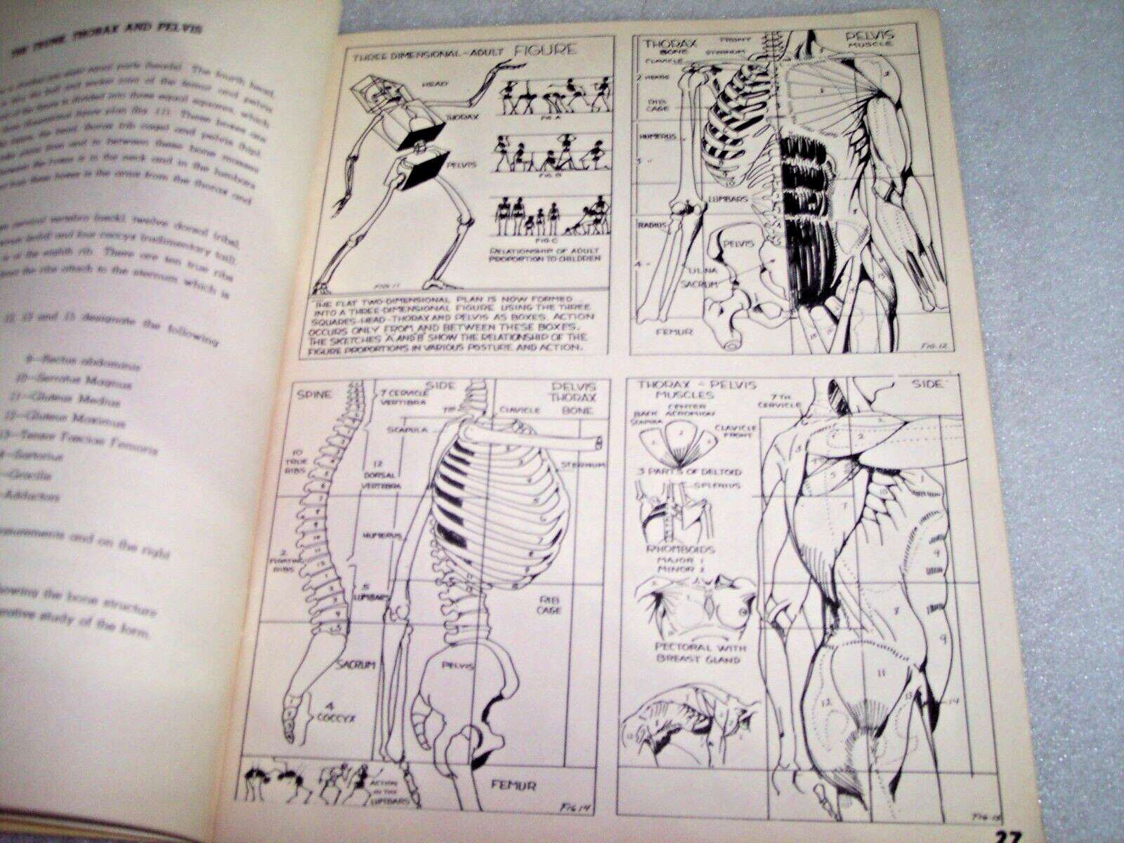 Vintage It’s Fun To Draw – 1943 – Softcover Philip Meistrich 127 Pages.