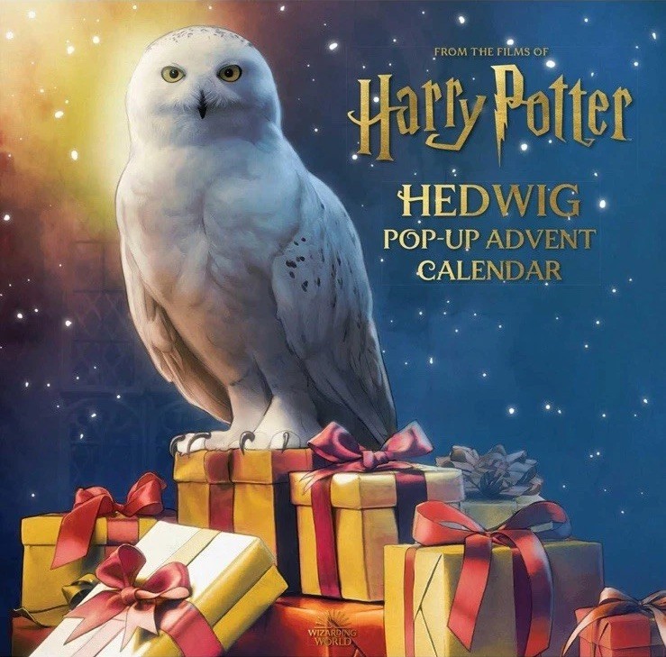 Harry Potter: Hedwig Pop-Up Advent Calendar by Matthew Reinhart (2022, Calendar)