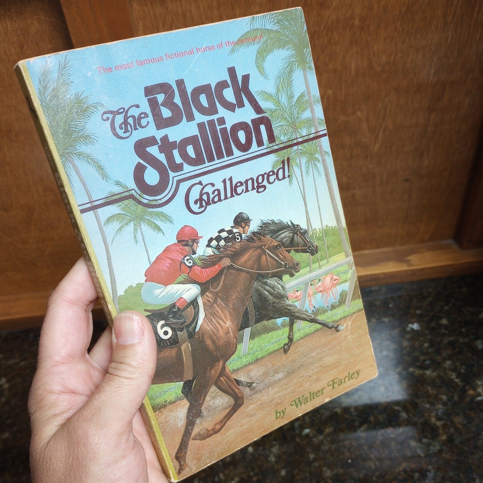 The Black Stallion Set Of varies Paperback Books 1980’s Walter Farley LOT of 6