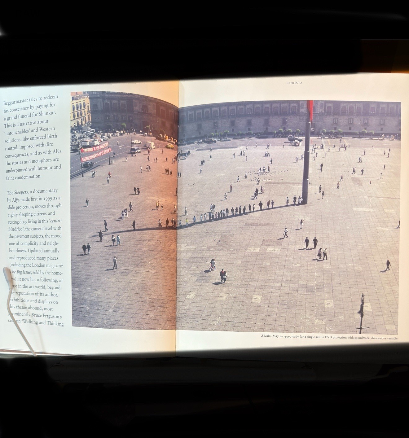 Francis Alÿs The Prophet and the Fly Text by Catherine Lampert