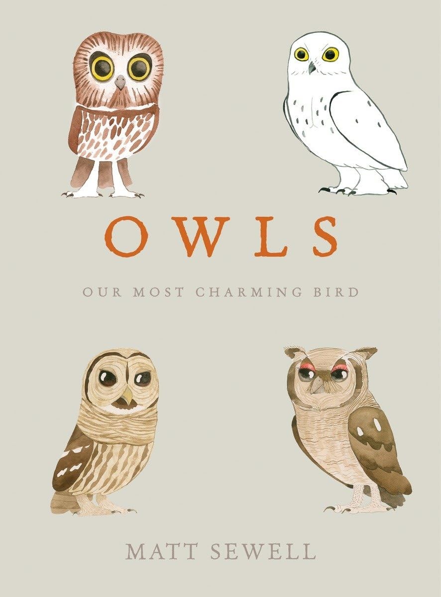 Owls: Our Most Charming Bird – hardcover Sewell, Matt