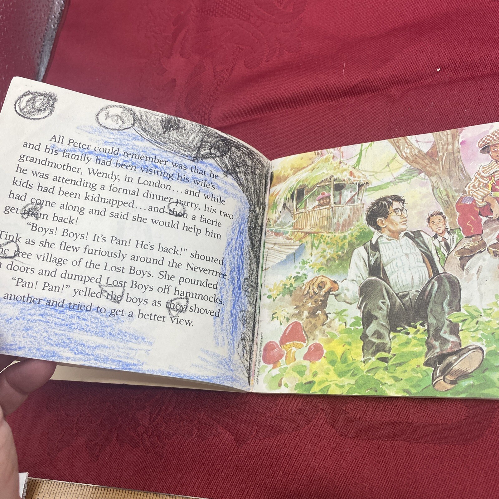 Hook PETER AND THE LOST BOYS (MINI STORYBOOK) By Jim Hart 1991 Paperback