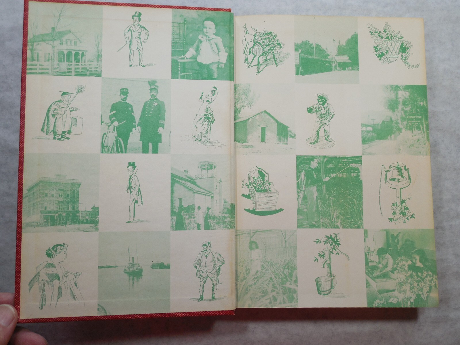 Out West: Growing Cymbidium Orchids and Other Flowers by Louis M. Boyle, 1952