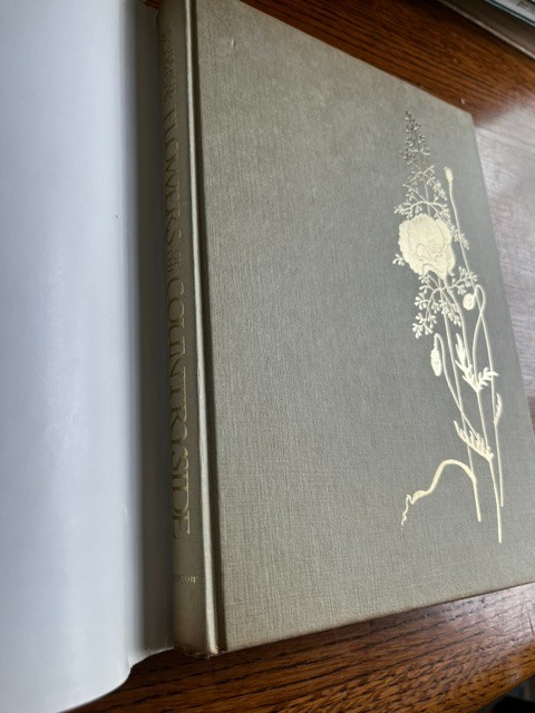 Flowers of the Countryside Marjorie Blamey’s 1980 color illustrations