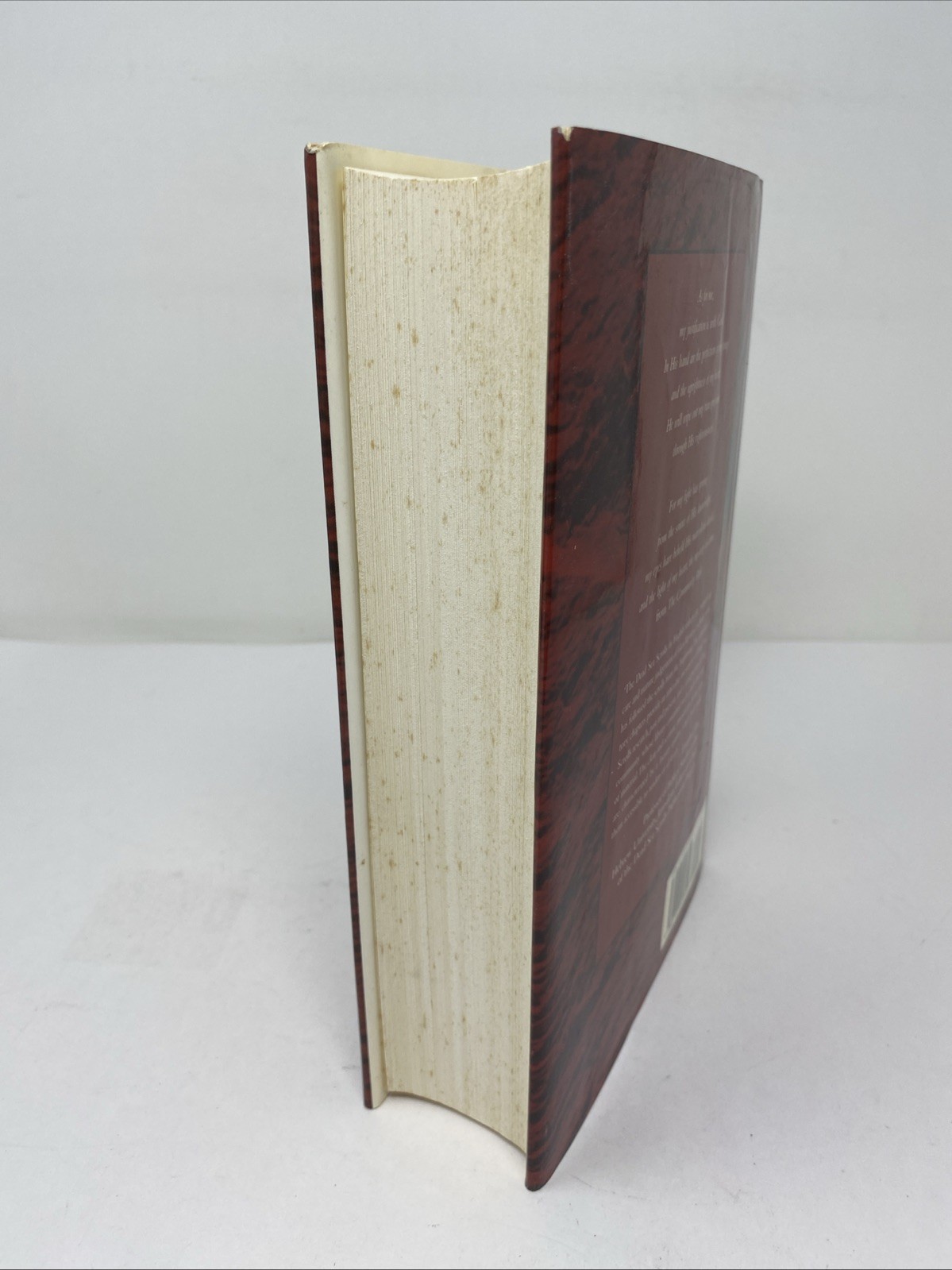 Dead Sea Scrolls English Vermes HC 1997 Unmarked Pages Foxing Edges