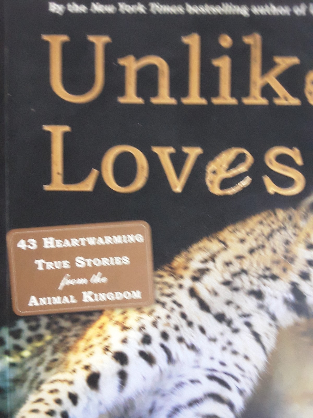Unlikely Loves By Jennifer S. Holland 43 Heartwarming True Stories Animals Pets