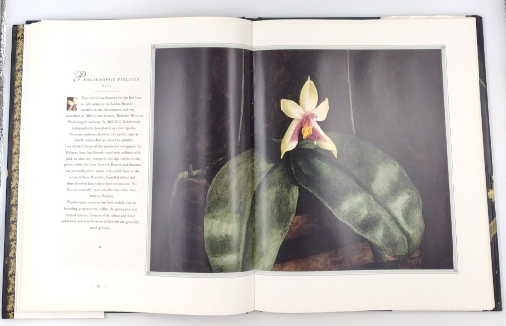 The Forgotten Orchids Of Alexandre Brun Hardcover Book 159 Pages 1992