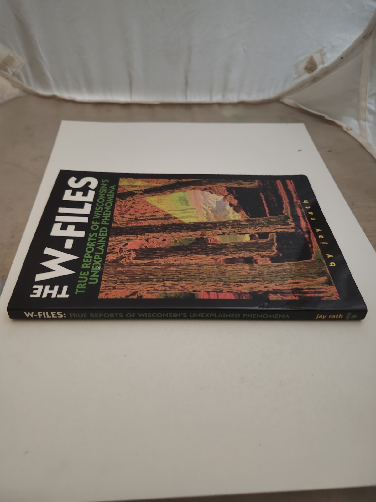 The W-Files True Reports of Wisconsin’s Unexplained Phenomena Book Jay Rath PB