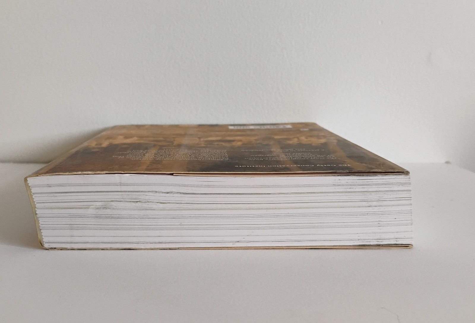 Photograph’s of the Past: Process and Preservation. Bertrand Lavedrine 2009 VG