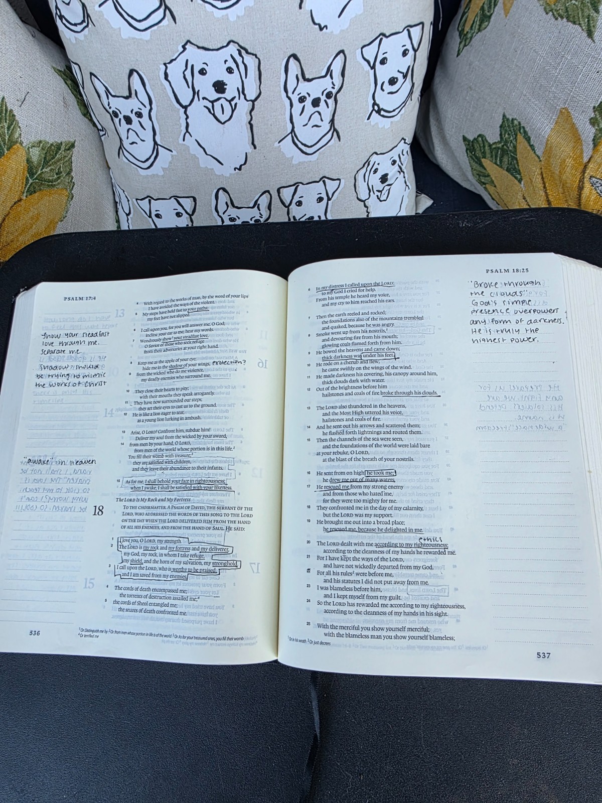 Crossway Single Column Journaling Bible Black Used with Handwritten Study Notes