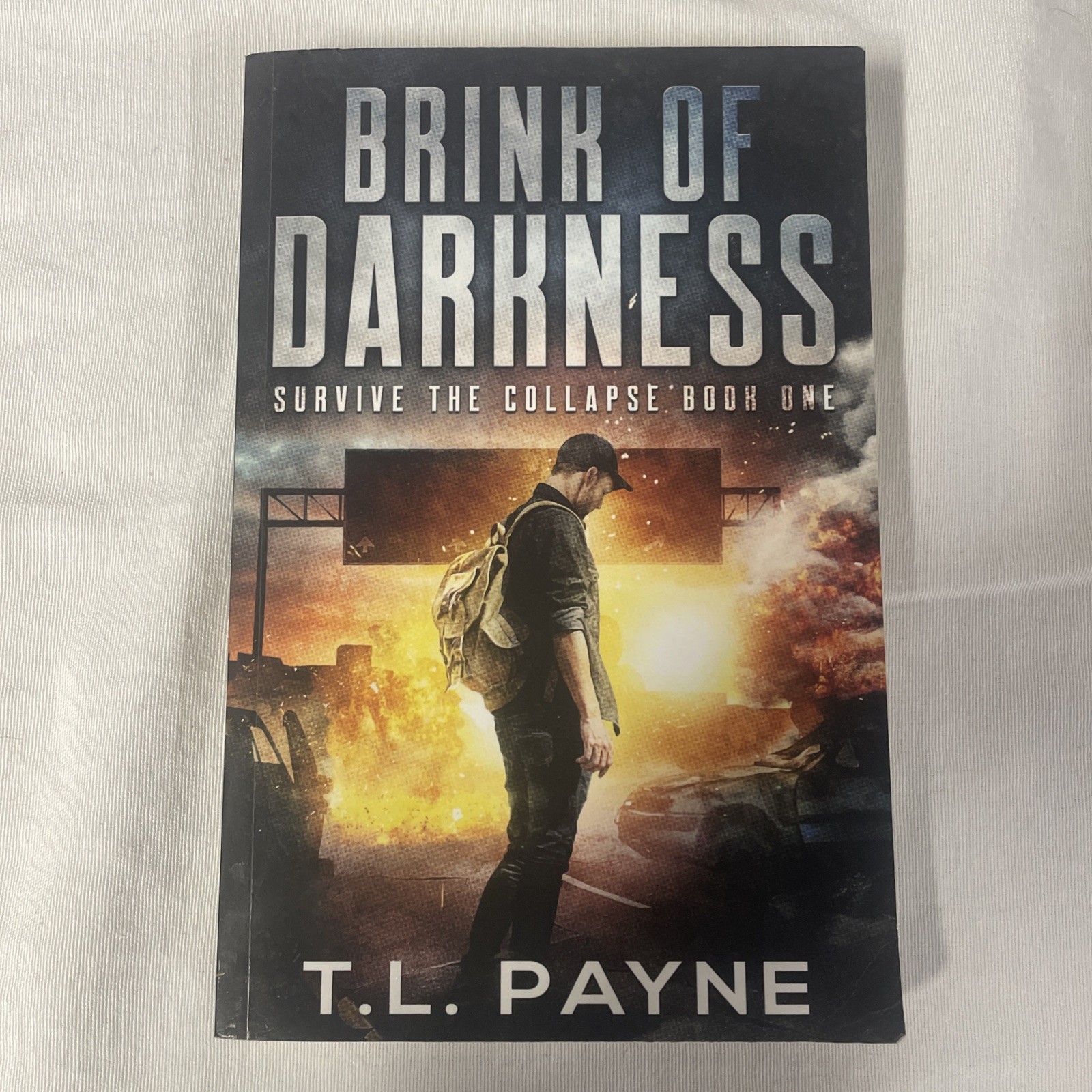 Brink of Darkness (Survive the Collapse). Author: T.L. Payne