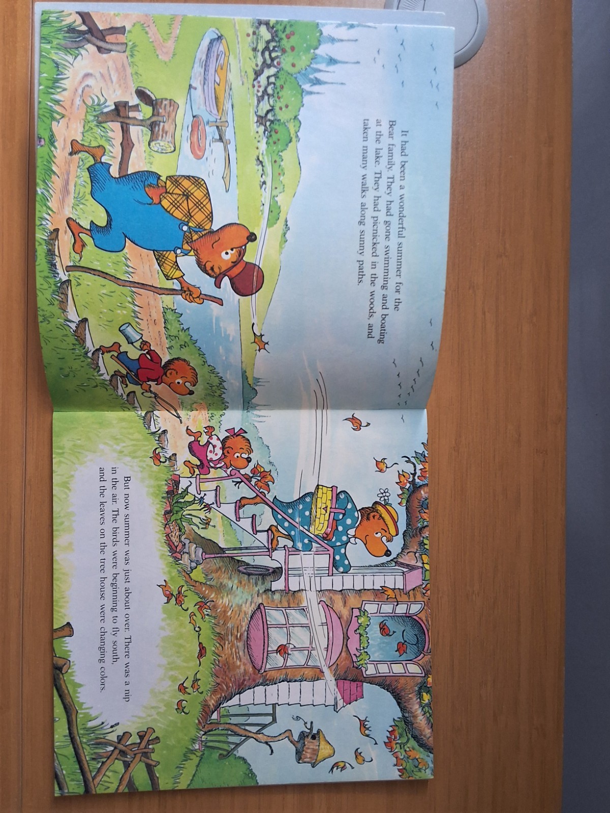 Vintage Variety Set Of Bernstein Bears Books. Lot Of 5