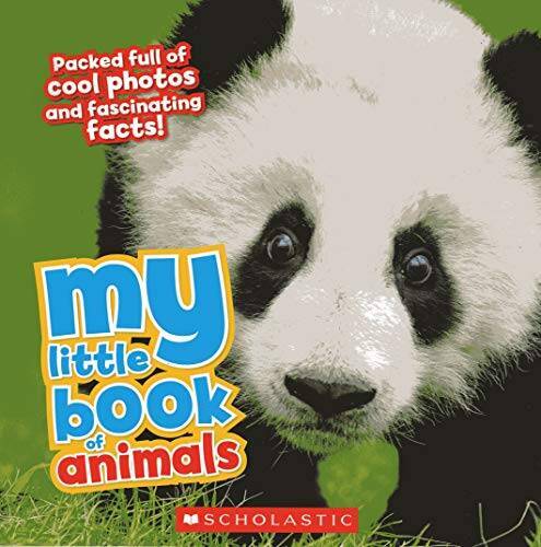 My Little Book of Animals – Paperback By camilla de la Bedoyere – GOOD