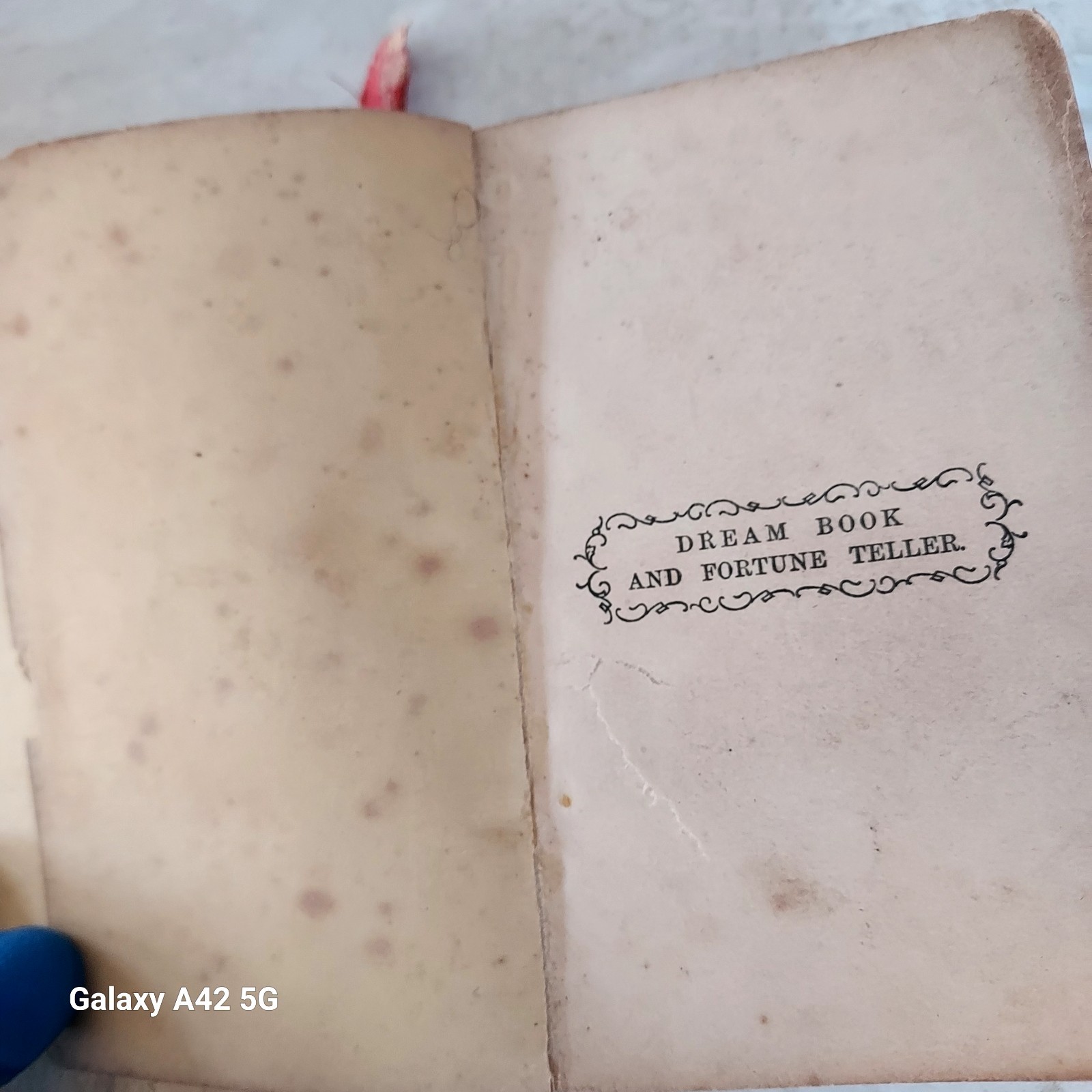 Antique Book: Universal Dream Book by Zadkiel/ Popular Fortune Teller by Sibly