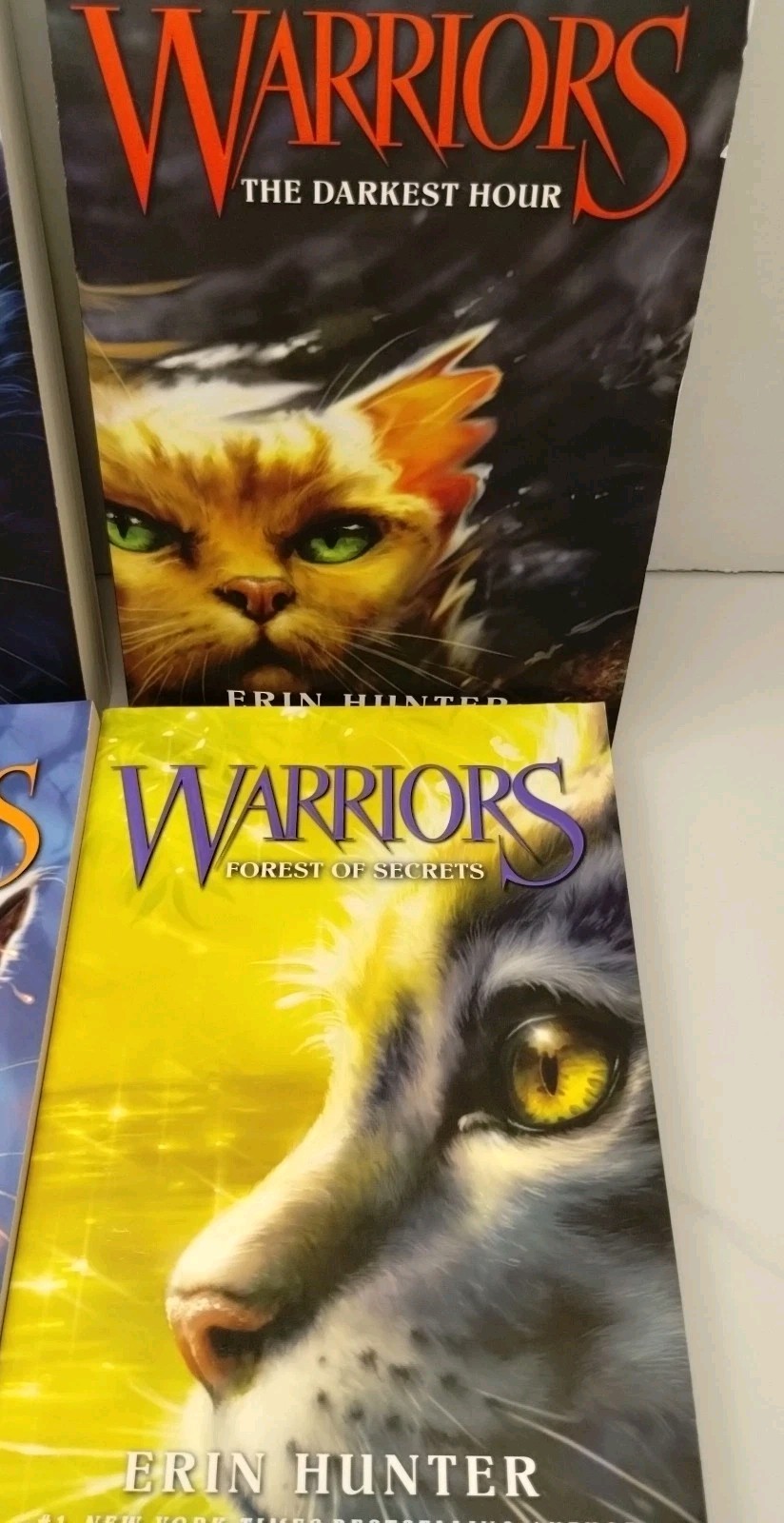 Warriors Set: Books 1 To 6 : The Complete First Series by Erin Hunter Paperback