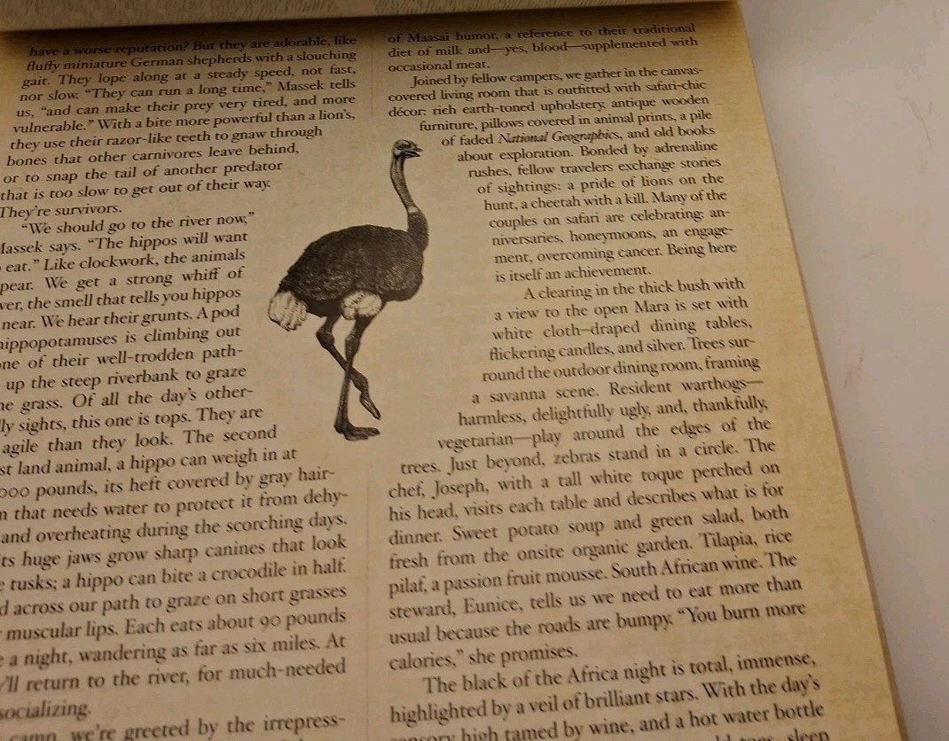 Safari: A Photicular Book