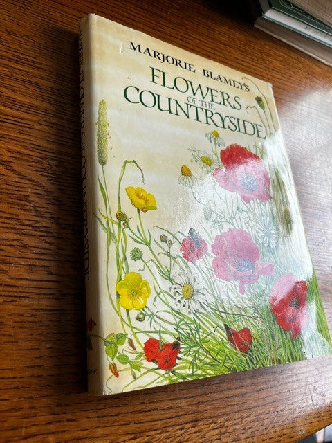 Flowers of the Countryside Marjorie Blamey’s 1980 color illustrations