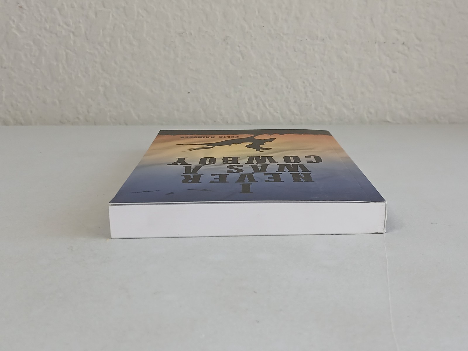 Felix Rainosek I NEVER WAS A COWBOY Memoir Palmetto Publishing 2024 Preowned