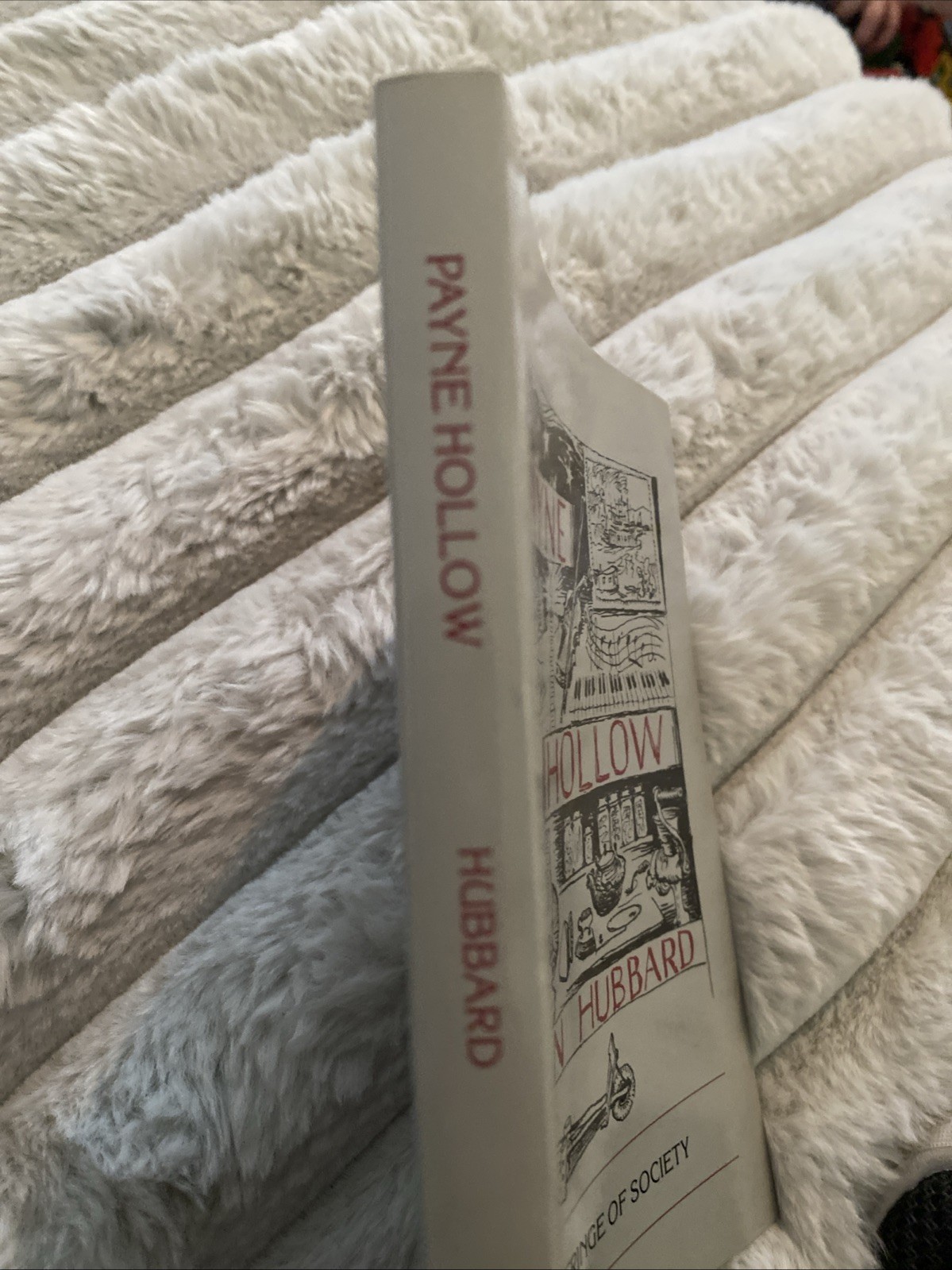 Payne Hollow: Life on the Fringe of Society – paperback Hubbard, Harlan