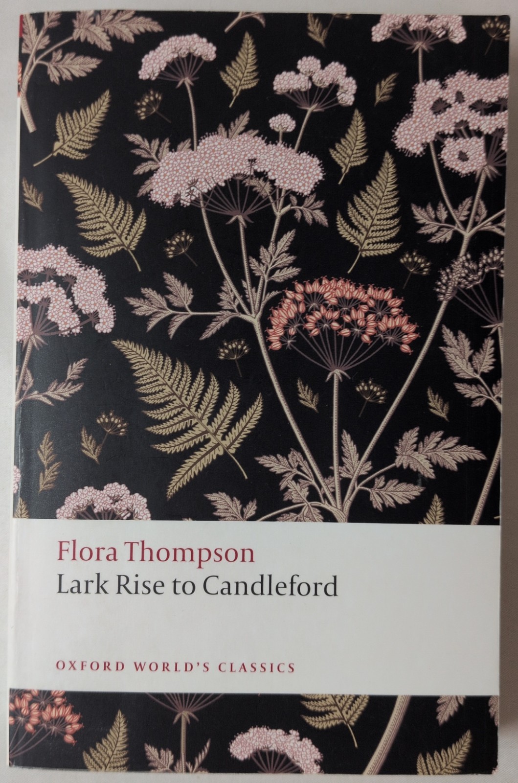 Lark Rise to Candleford [Oxford World’s Classics] by Thompson, Flora Paperback