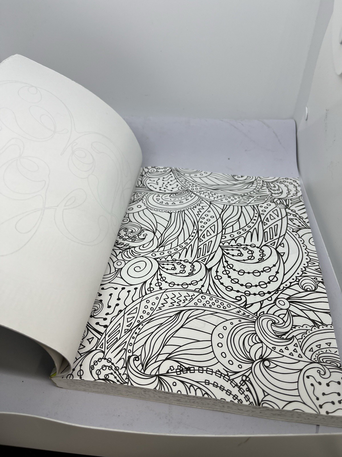Color Your World: An Adult Coloring Book – 11×7.5″ – Large Art Coloring Book