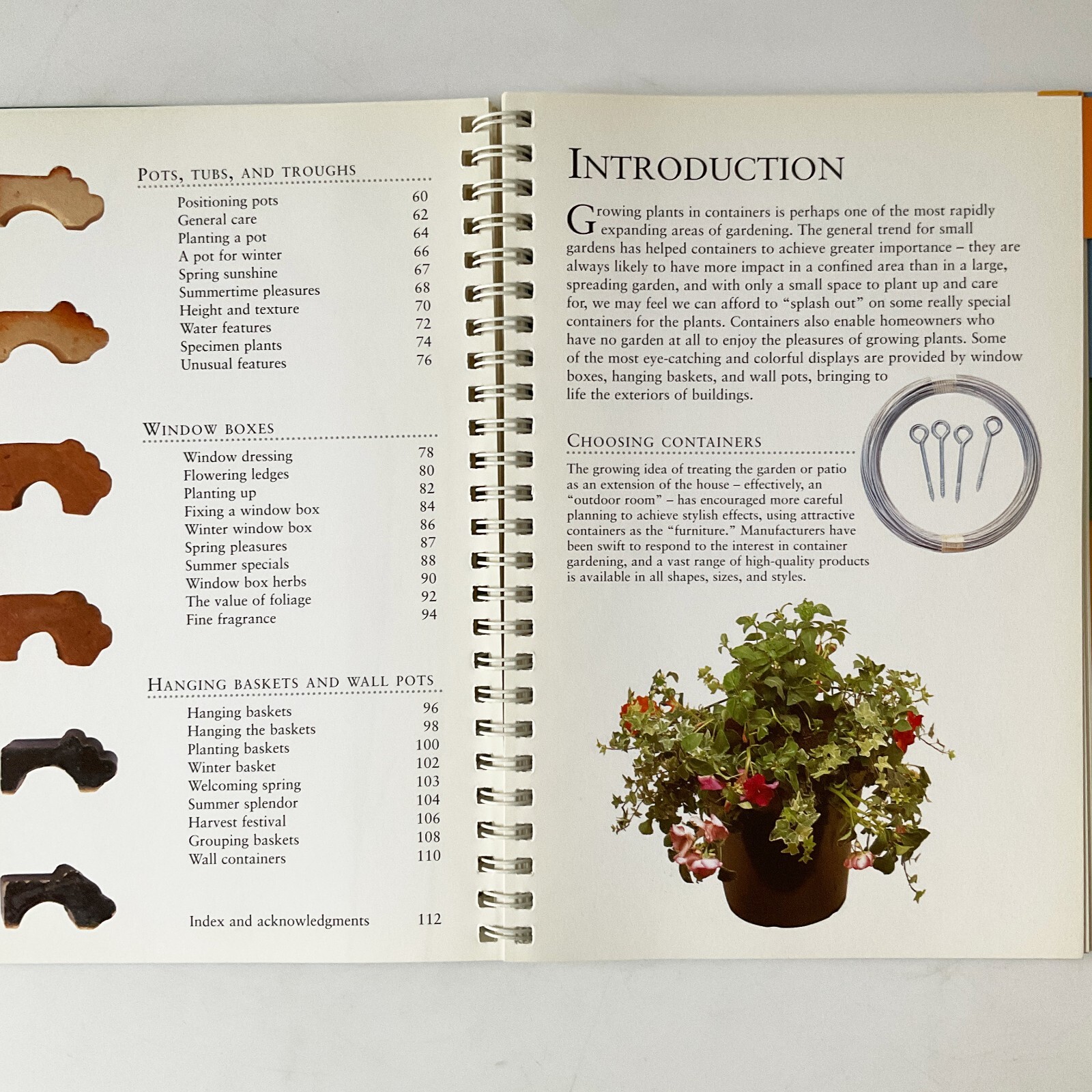 Container Gardening Potted Plants Flowers Patio Garden Tips Lot of 2 Books