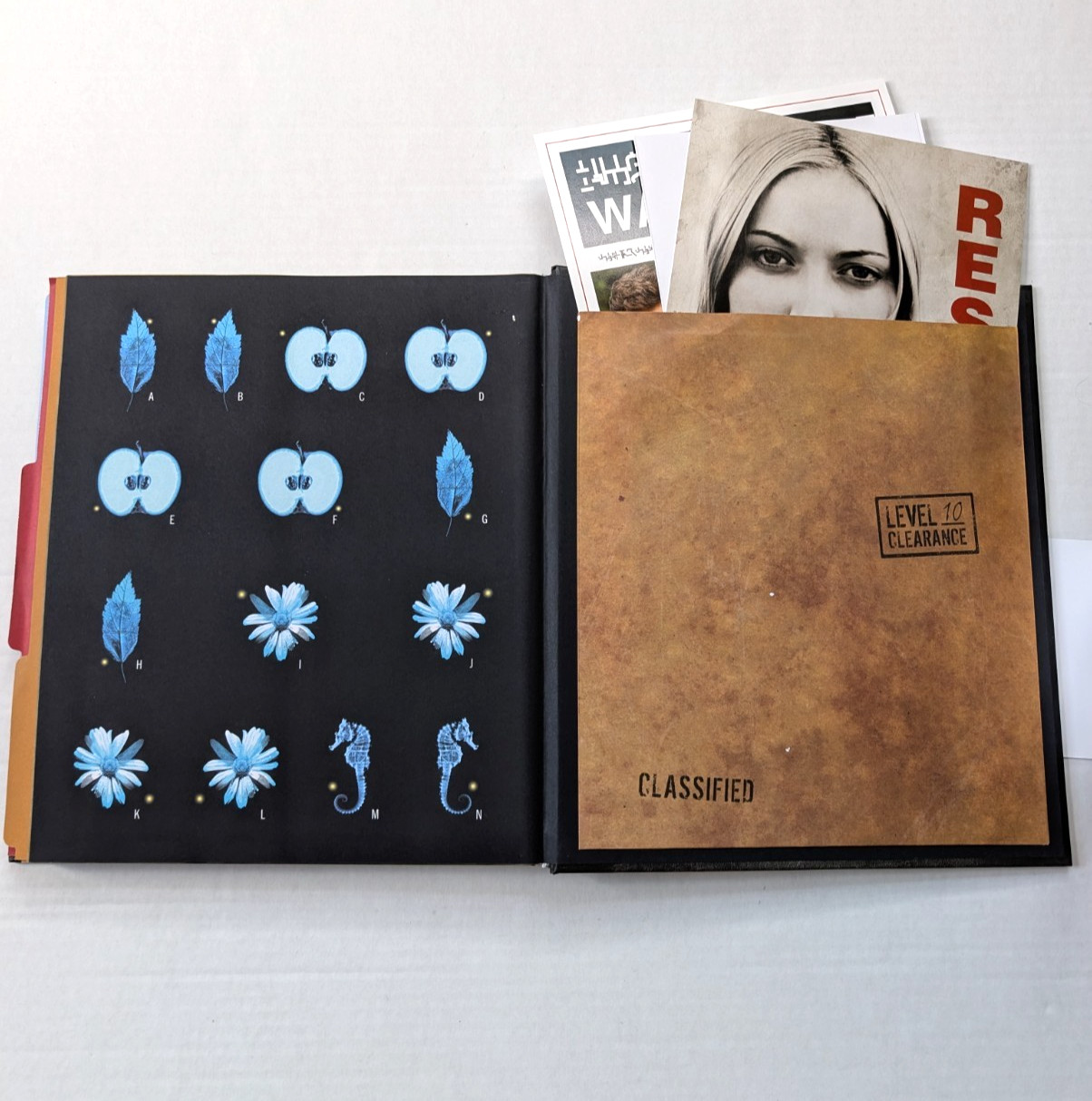 Fringe Septembers Notebook The Bishop Paradox Hardcover 2013 Insight Editions