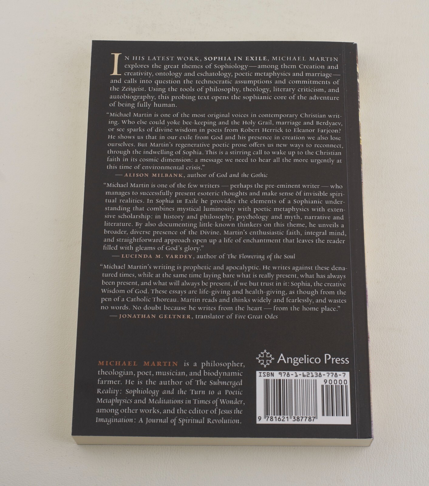 Sophia in Exile by Martin, Michael [Paperback, 192 pages]
