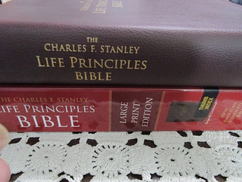 NASB Charles Stanley Life Principles Bible- Large Print INDEXED Burgundy LS-RARE