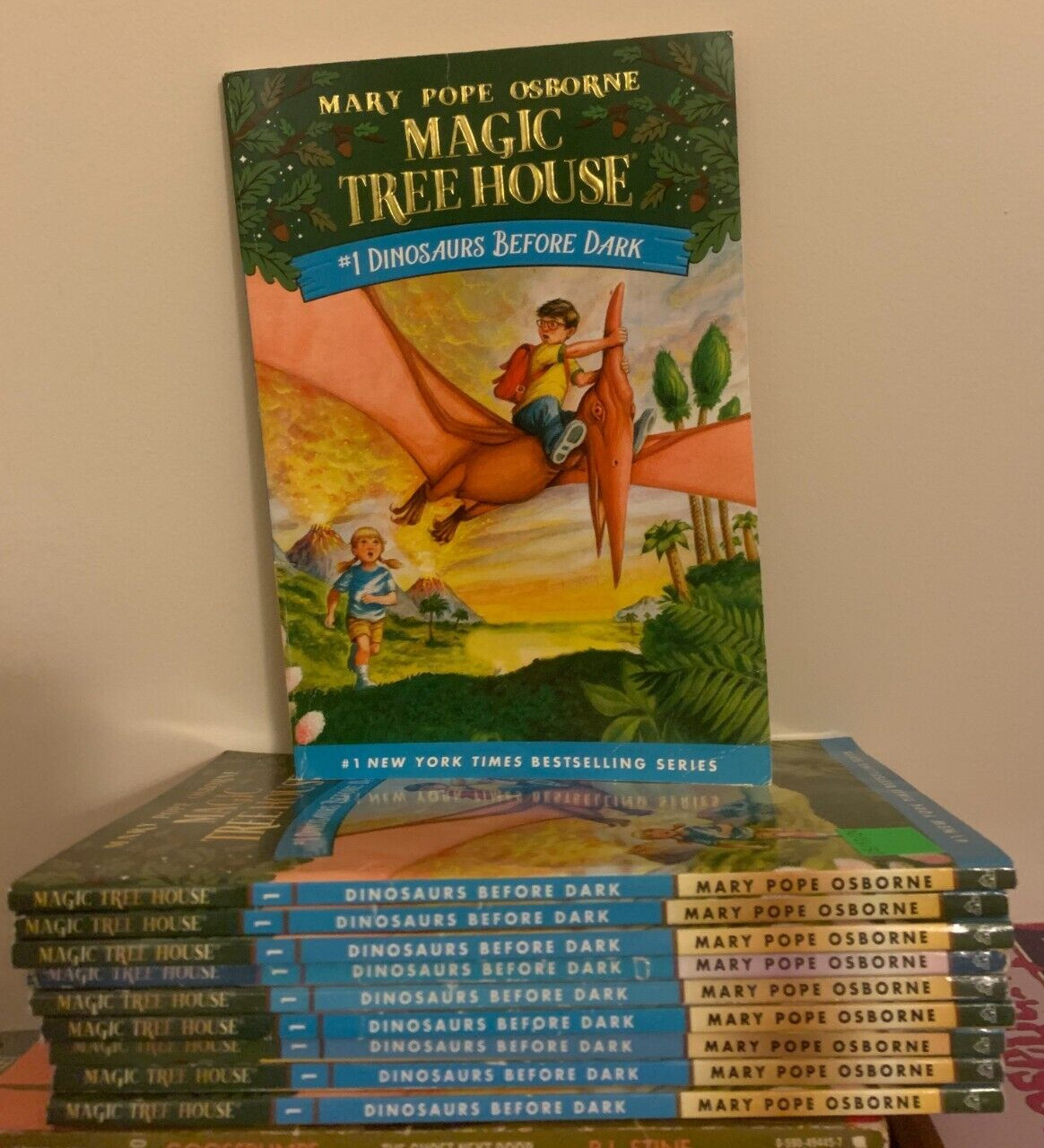 Magic Tree House #1 Dinosaurs Before Dark class set Guided Reading lot 10 PB