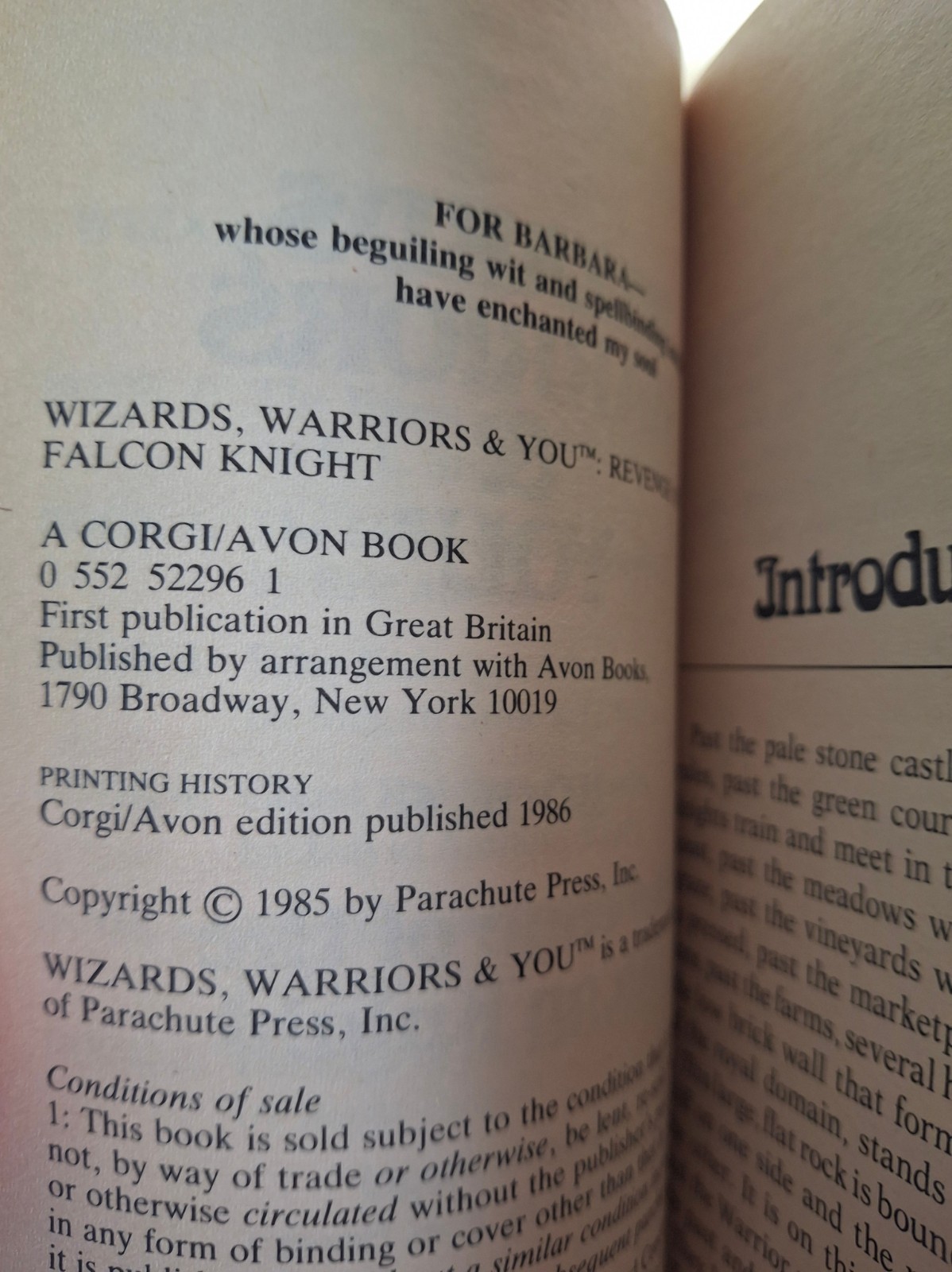 Wizards Warriors and You #6: Revenge of the Falcon Knight RPG UK Import CYOA