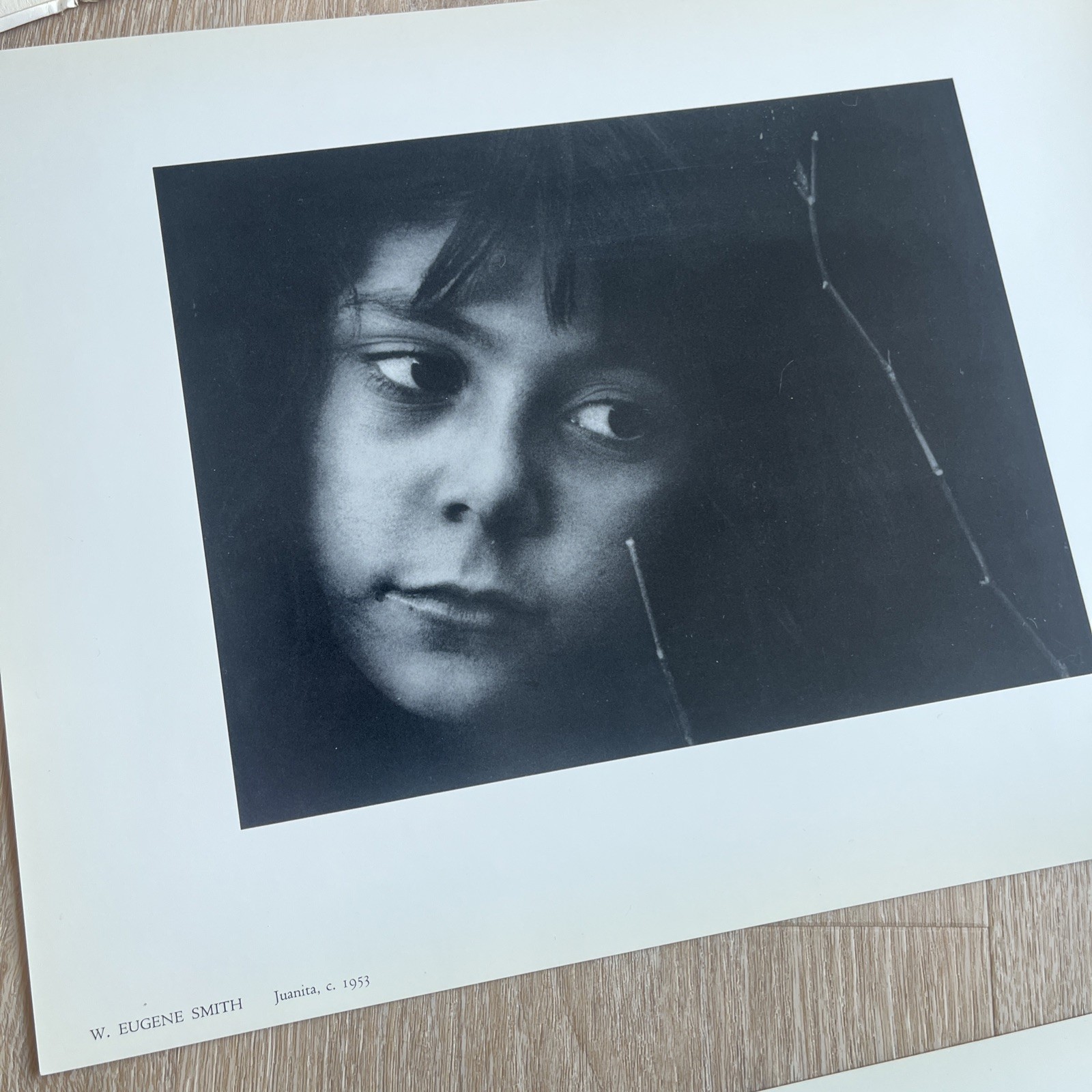 1969 Ansel Adams’ Friends of Photography 1st Portfolio The Persistence of Beauty