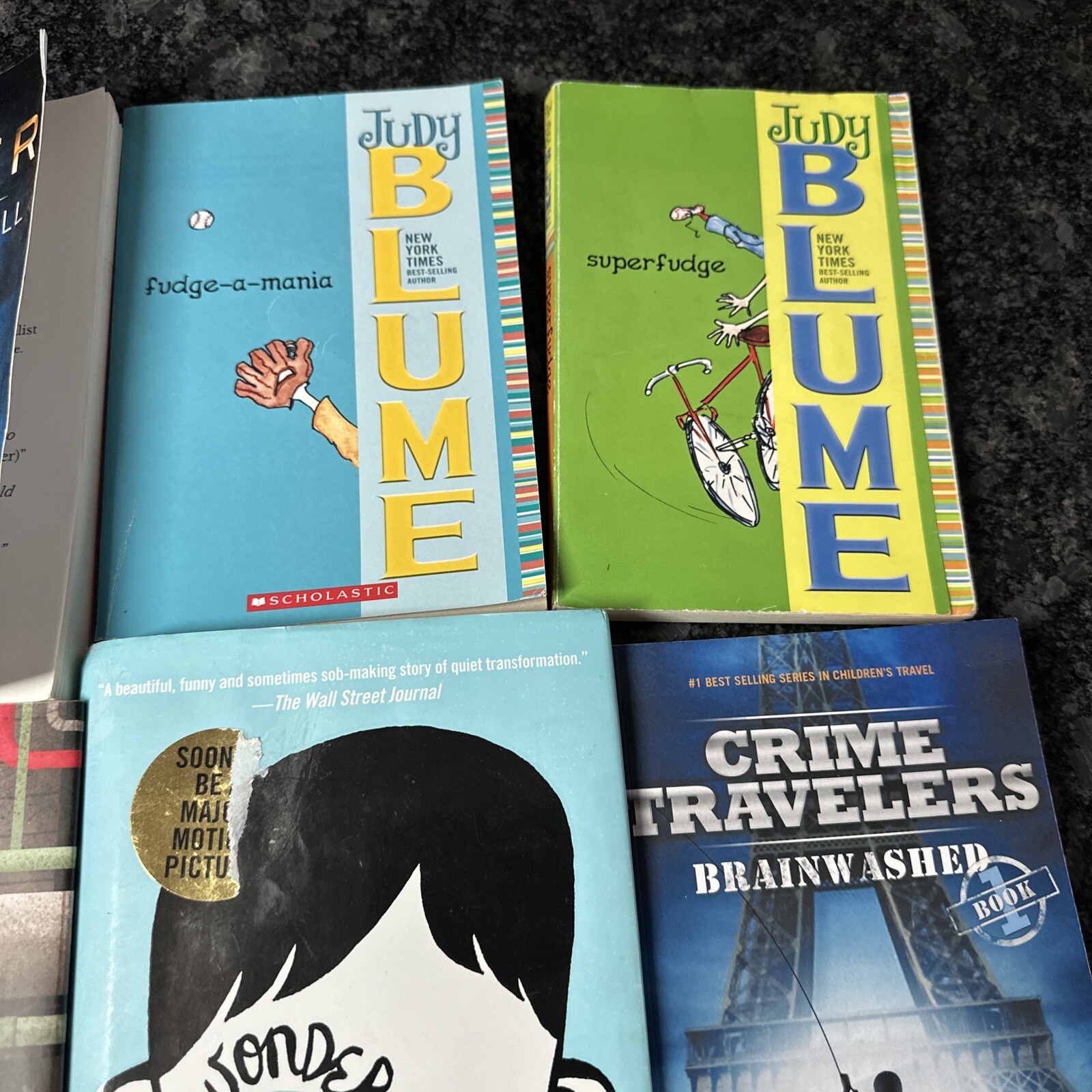 Lot of 12 Chapter Books BOYS Youth Early Reader Young Adults Children Adventure