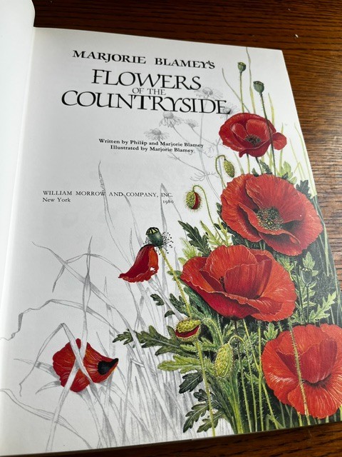 Flowers of the Countryside Marjorie Blamey’s 1980 color illustrations