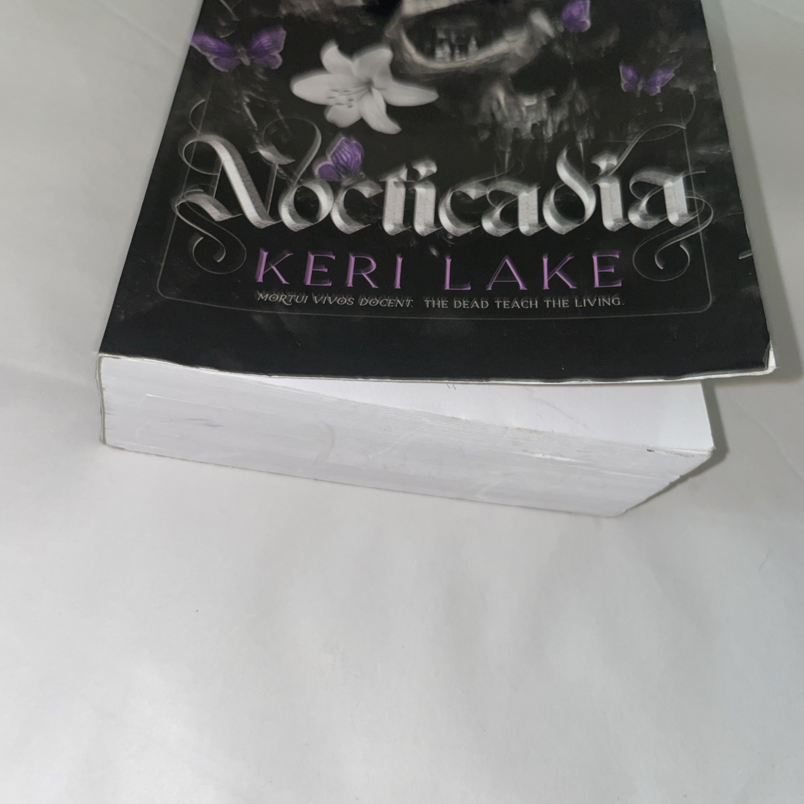 Nocticadia by Keri Lake The Dead Teach The Living PB