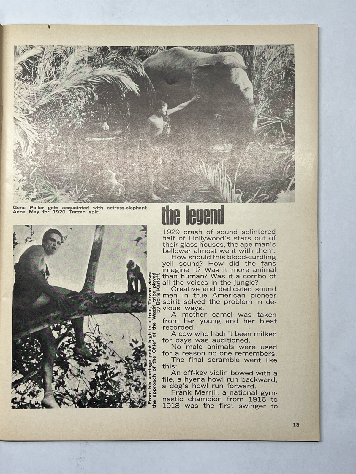 Tarzan History Weissmuller Lex Barker Gordon Scott Dennis Miller Henry Photos SC