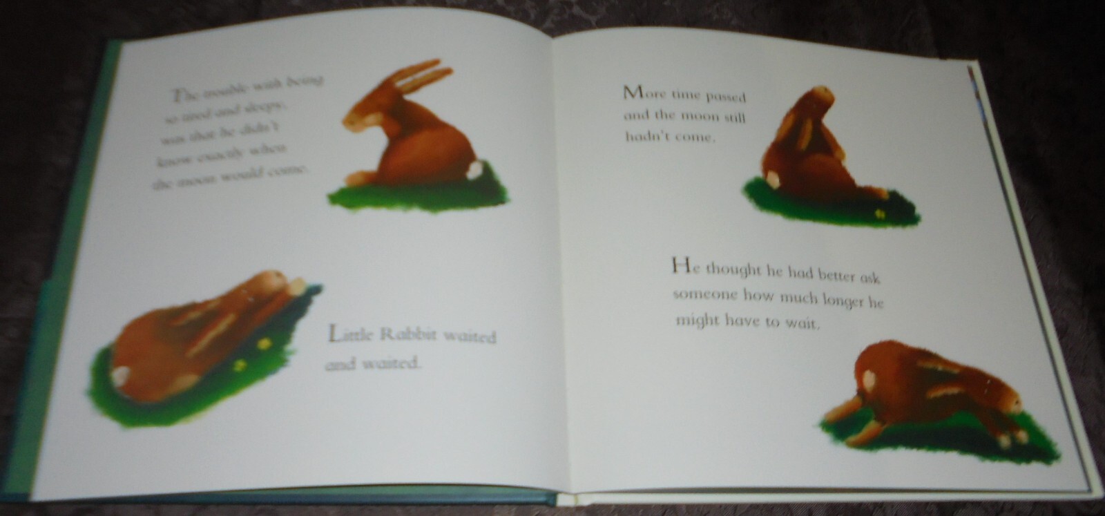 LITTLE RABBIT WAITS FOR THE MOON BOOK BY BETH SHOSHAN HARDCOVER 24CM X 24CM NEW
