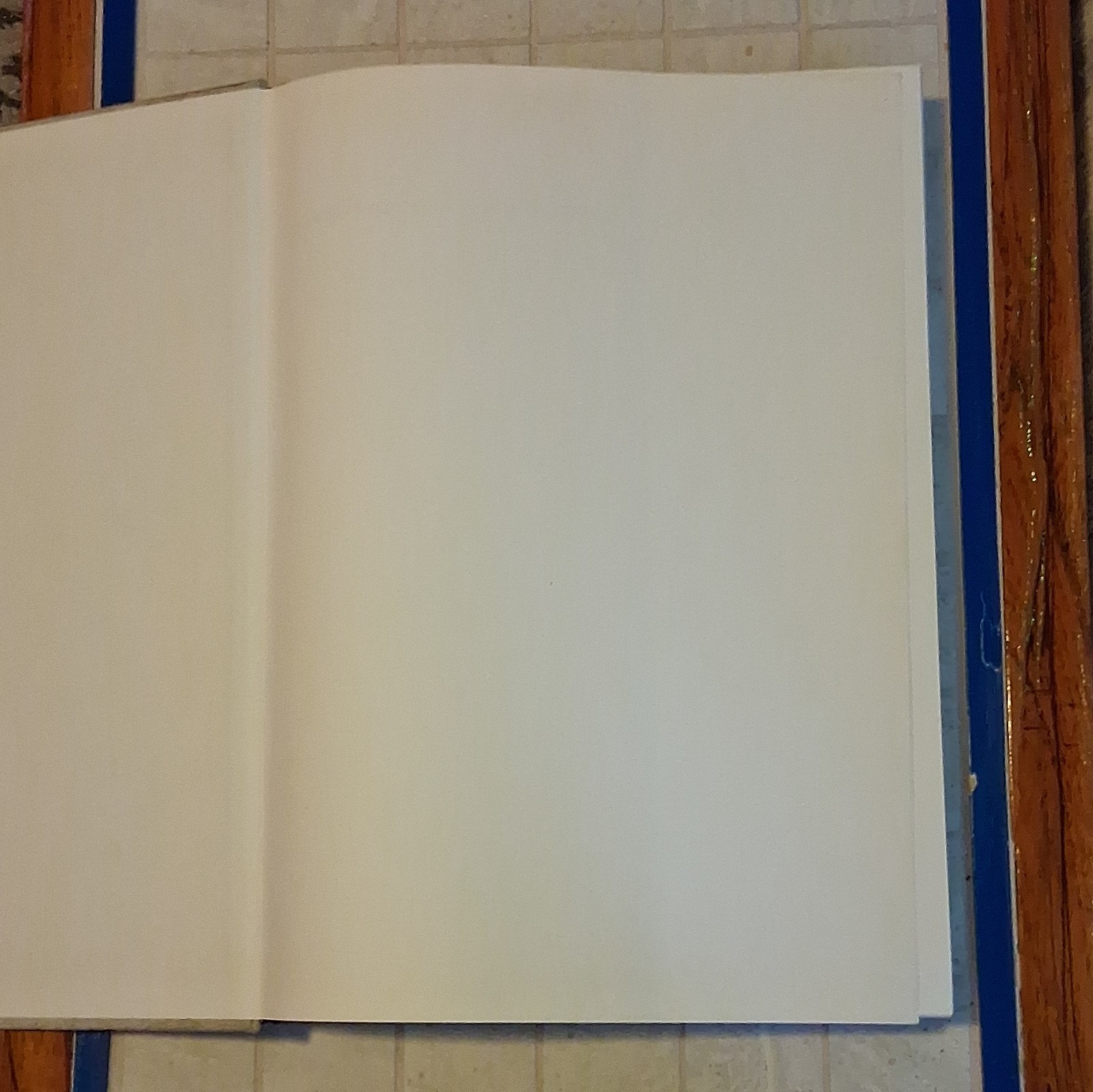 20,000 Years of World Painting Hardcover Art Book Harry N. Abrams
