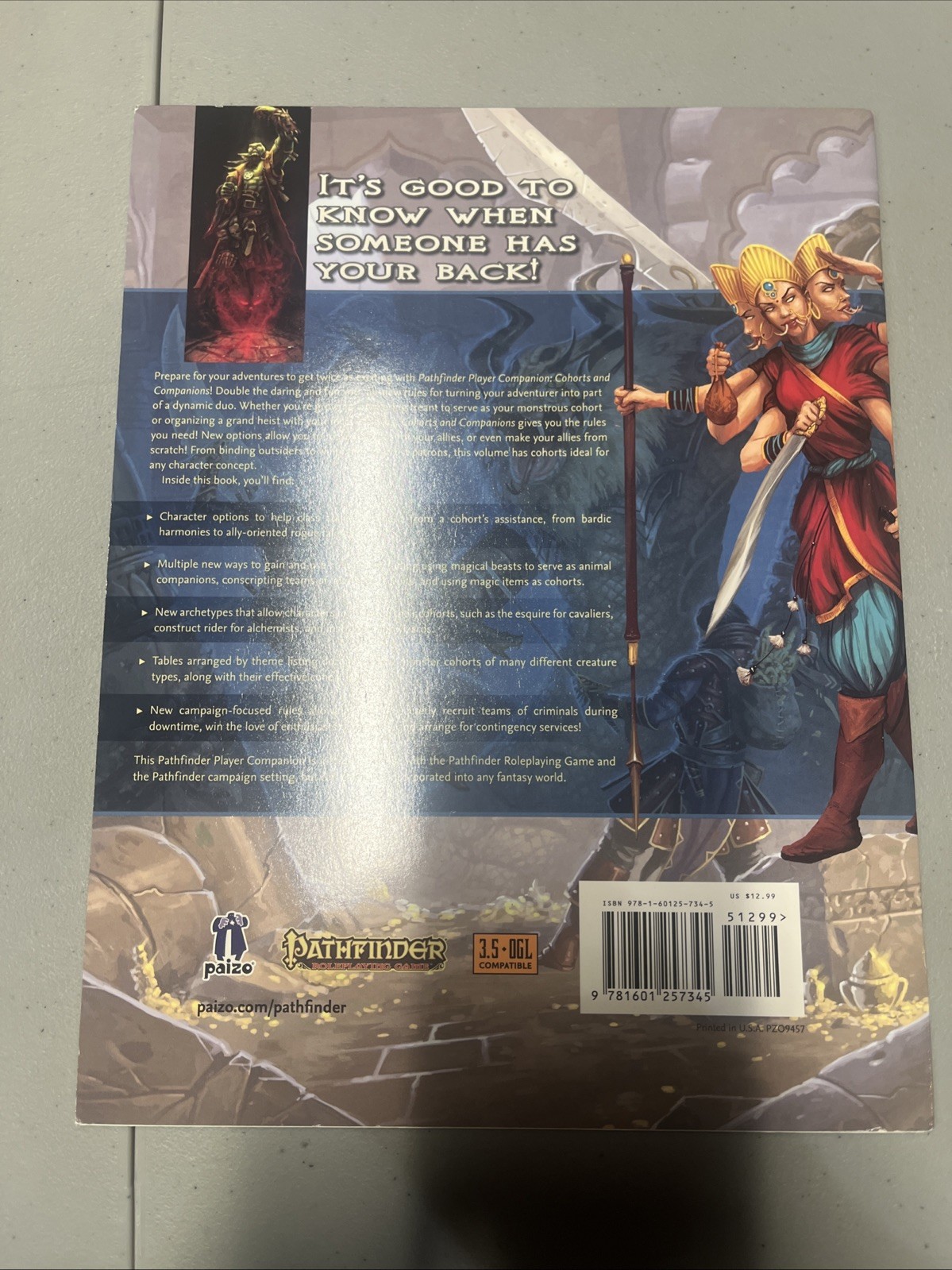 Cohorts and Companions by Paizo Publishing Staff (2015, Trade Paperback)