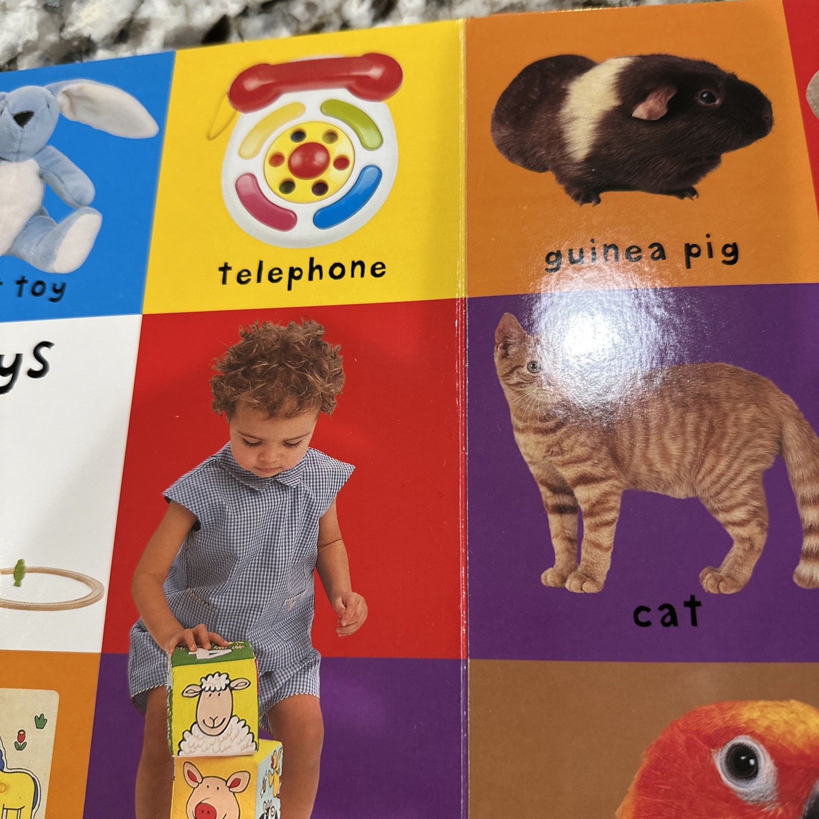 Big Board First 100 Words : An Essential First-Learning Book by Roger Priddy…