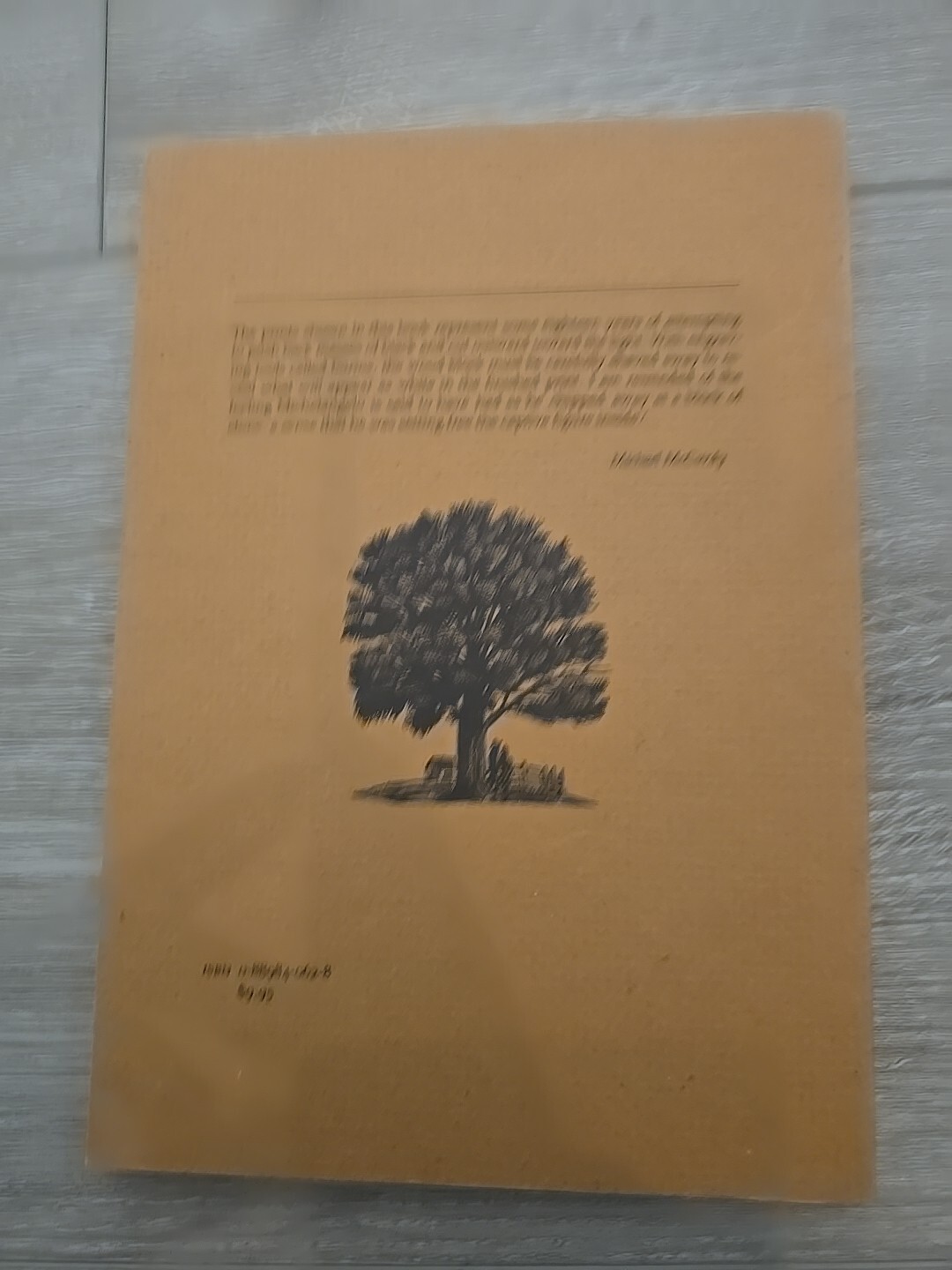 Toward the Light: Wood Engravings by Michael McCurdy