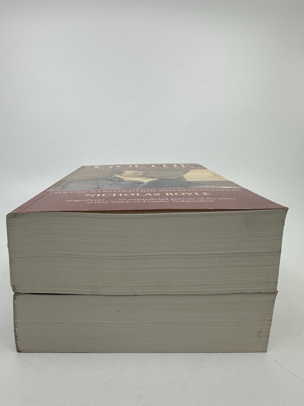 Wolfgang Goethe: the Poet and the Age Vol. I & II Nicholas Boyle Set Like New