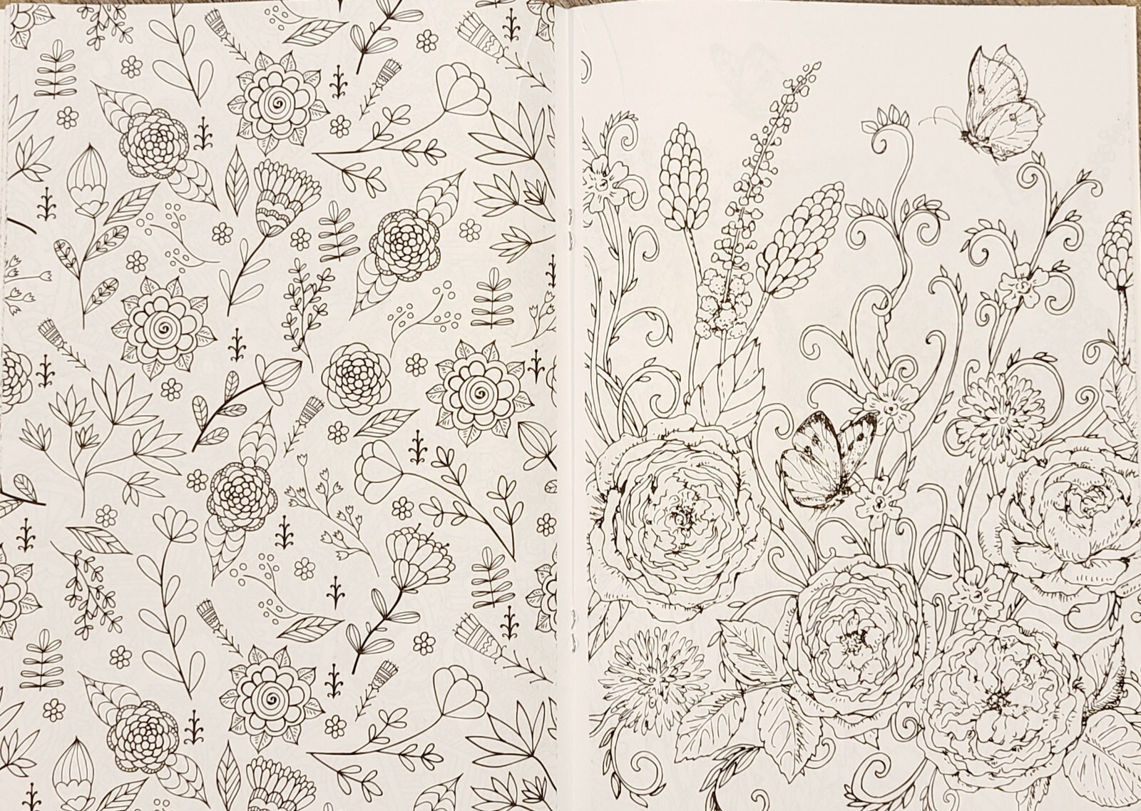 Kick Back & Color to Music Set of 2 Floral and Patterns NEW